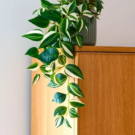 Gorgeous Rooftop 2-bed 250m To Intendente Sq Apartment